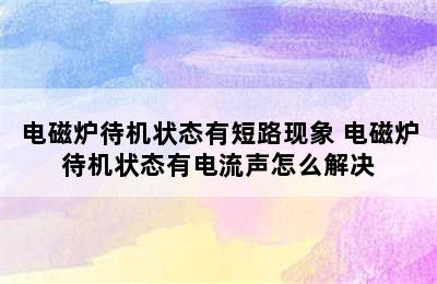 电磁炉待机状态有短路现象 电磁炉待机状态有电流声怎么解决